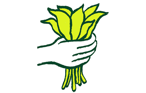 Activities_Harvest 1