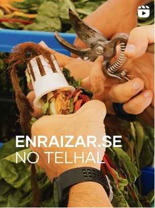 upfarming_carousel_enraizartelhal Enraizar-se no Telhal