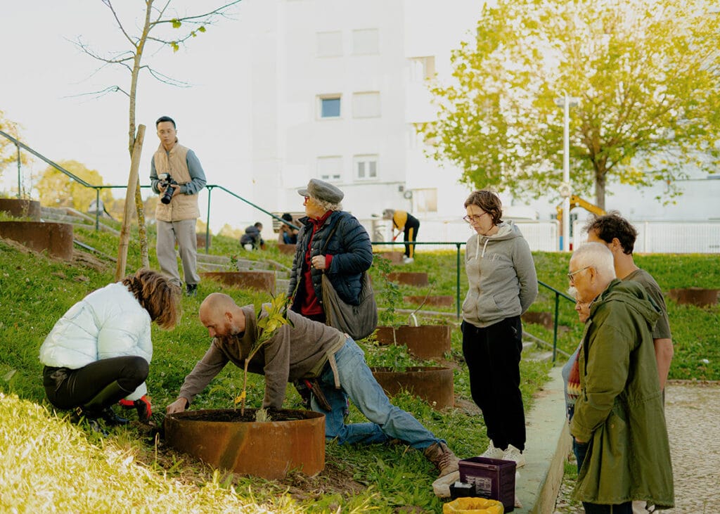 Agrofloresta de Carnide