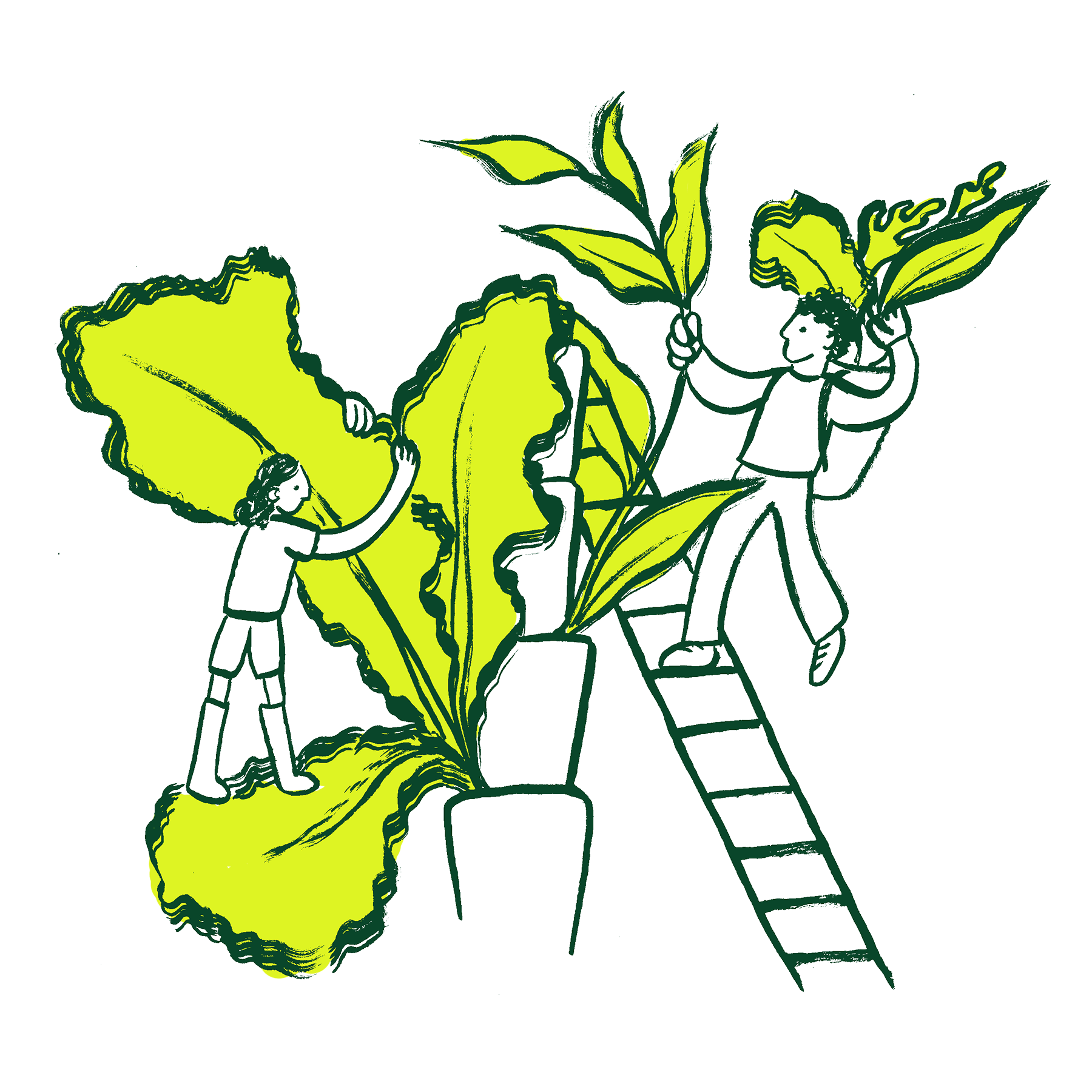 Empresas-team-building