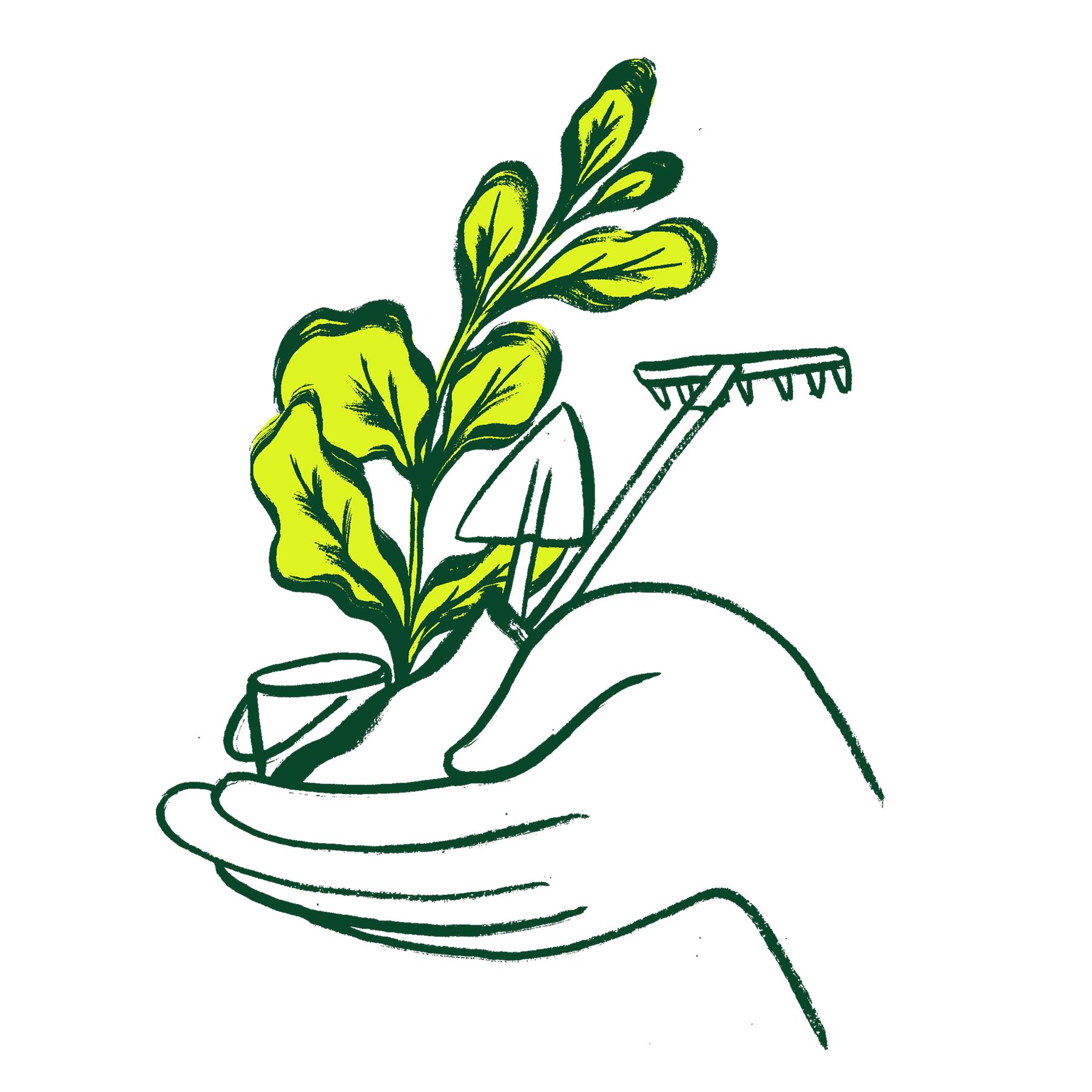 Hospitais-metodologia