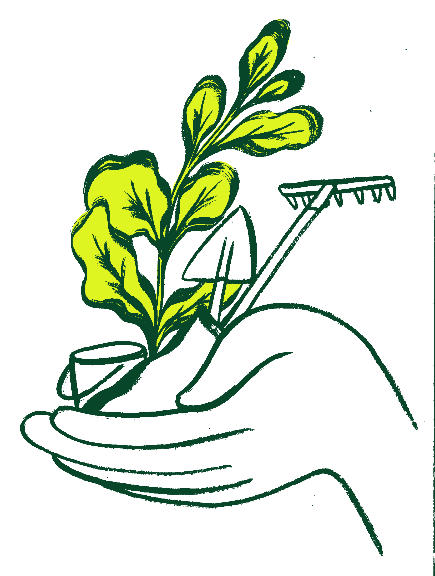 Hospital_Metodologia