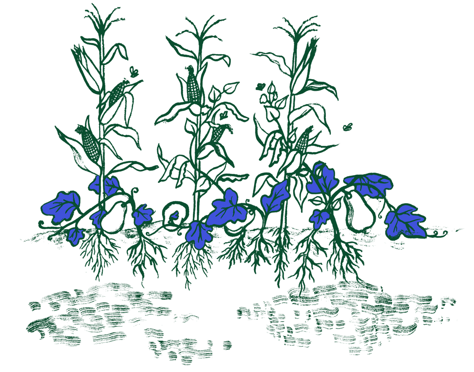 upfarming_homepage_hortahorizontal